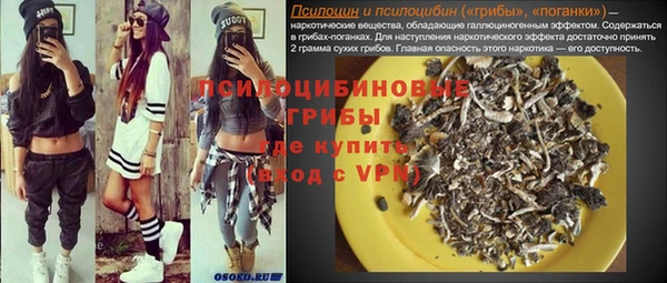герыч Алексин