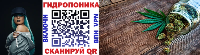 закладки  Кириши  Бошки марихуана план 